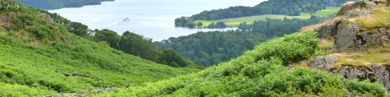 Countryside scene with a lake