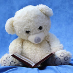 Teddy bear reading a book